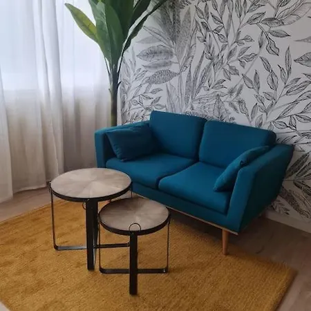 Appartement Le Viva Saint-Etienne (Loire)